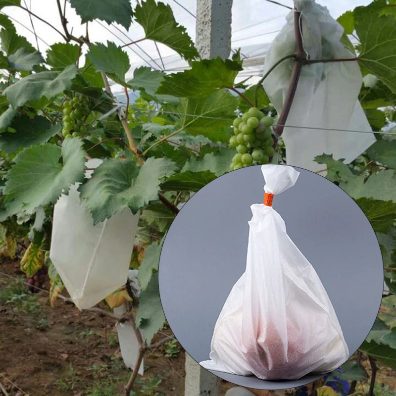 

100Pcs Grape Protection Bag Anti-Bird Moisture Insect Net Bag Vegetable Fruit Protect Breeding Bag Prevent Fruit Tree Mosquitoes