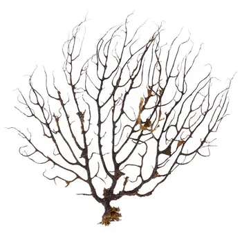

Black Sea Fan Fish Tank Aquarium Decoration Sea Coral Ornament Aquarium Plants For Fish Tank Decoration