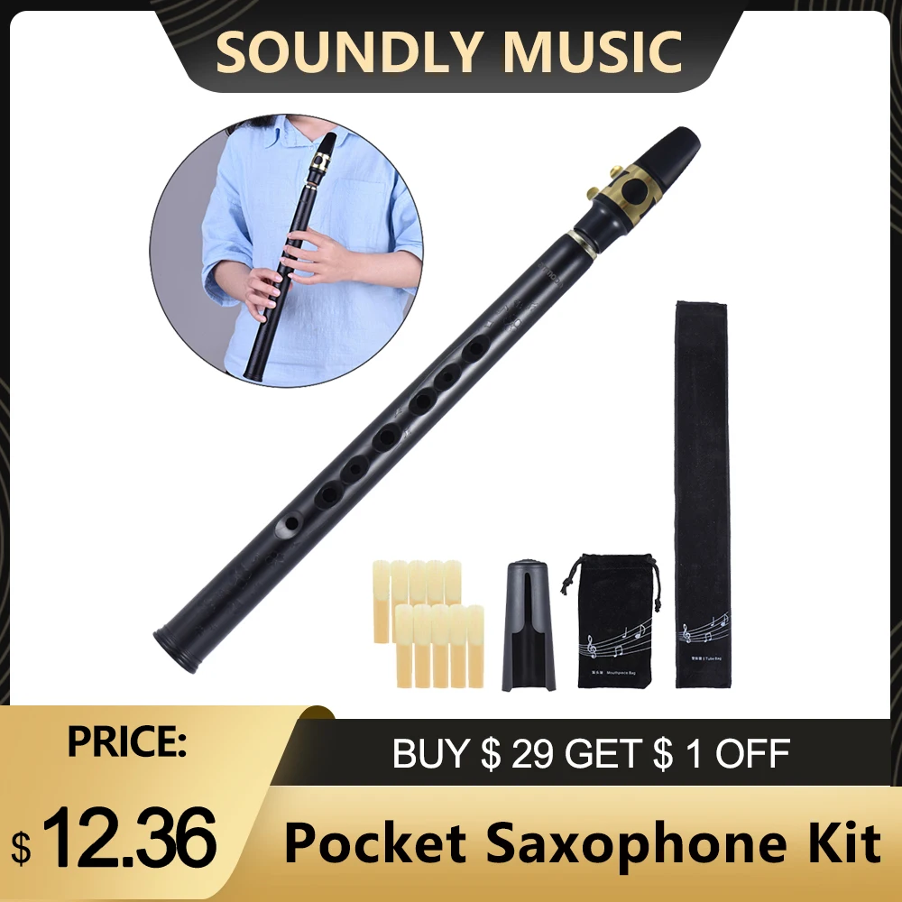 Saxophone de poche noir Mini Saxophone Portable Petit Saxophone avec sac de  transport Instrument à vent en bois 