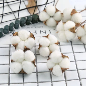 

10Pcs Natural Cotton Balls Dry Flower Plants Artificial Flowers Photography Props For Wedding Holiday Party Home Decoration