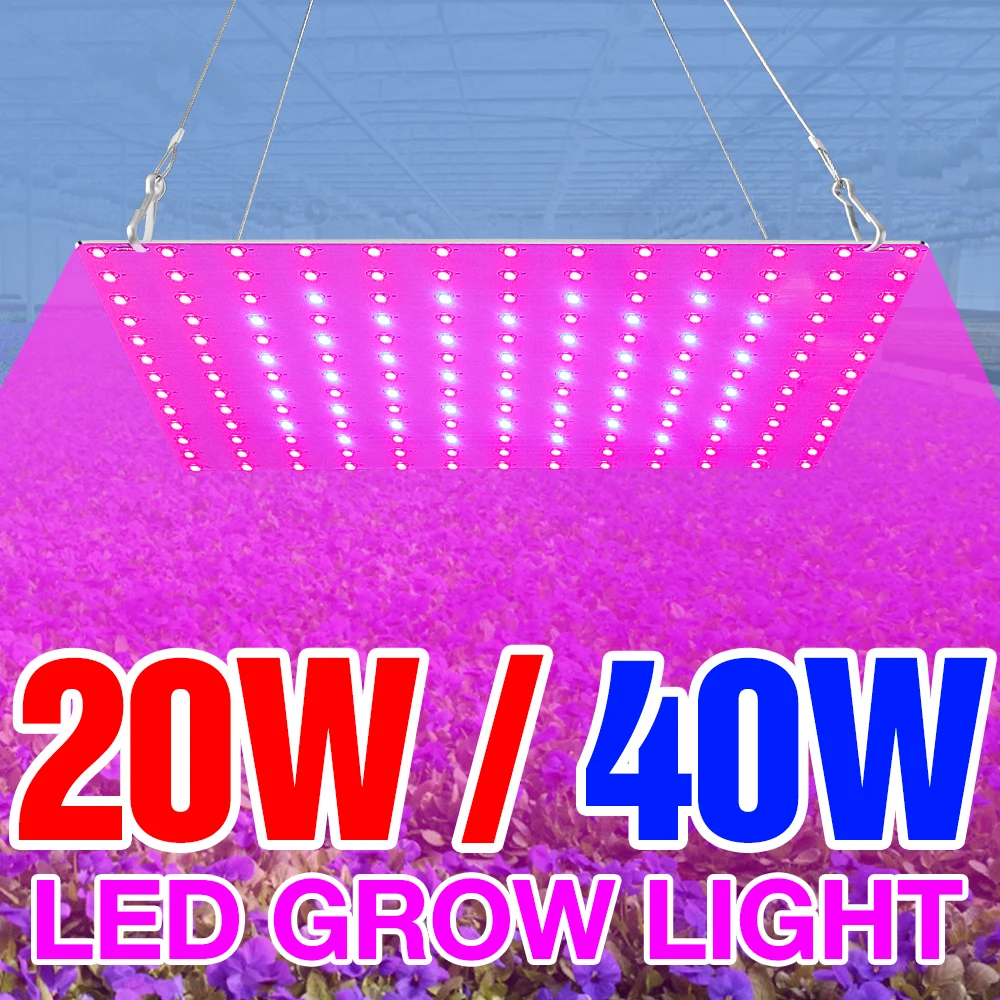 

BiaRiTi Grow Lamps LED Flower Seed Growing Tent 20W 40W Plant Light LED Full Spectrum 220V Phyto Lamp LED Seedling Fito Lampada
