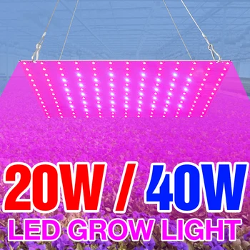 

BiaRiTi Grow Lamps LED Flower Seed Growing Tent 20W 40W Plant Light LED Full Spectrum 220V Phyto Lamp LED Seedling Fito Lampada