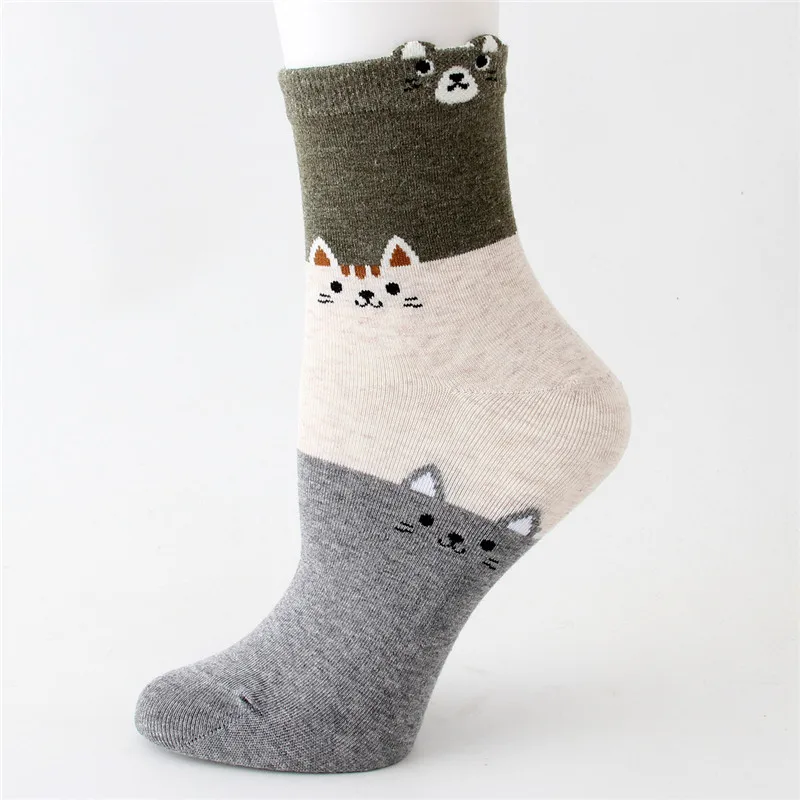 10130676590_81505792