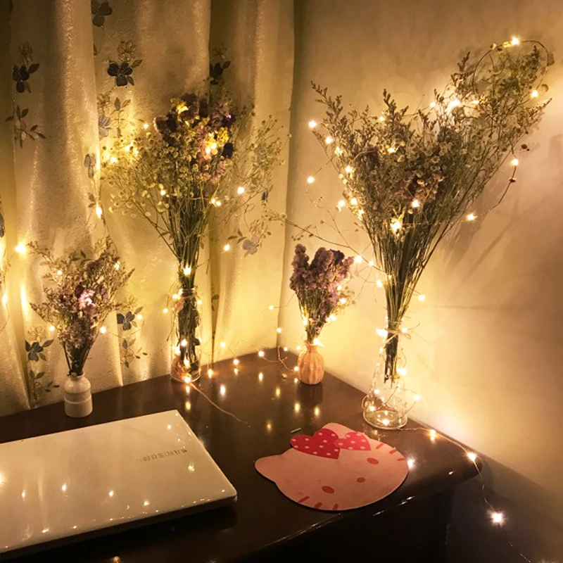 2M 3M 5M 10M usb powered /battery powered led Christmas lights copper string fairy lights garland holiday wedding decorative
