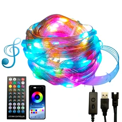 LED Symphony Leather Lights String with Telecontrol USB Operated Smart Bluetooth Music Lamp Outdoor Waterproof Fairy Party Decor
