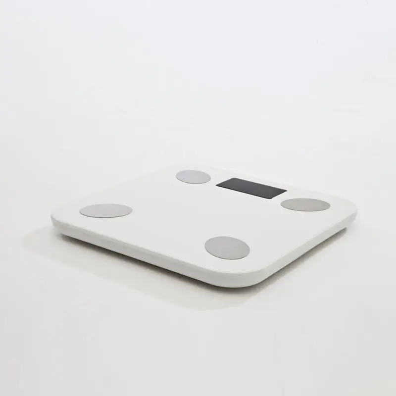 Body fat scale