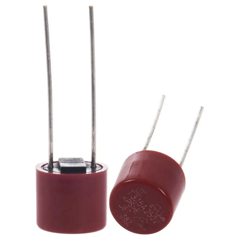 

10 Pcs Radial Cables Slow Blowing Micro-Fuse T3.15A 250V