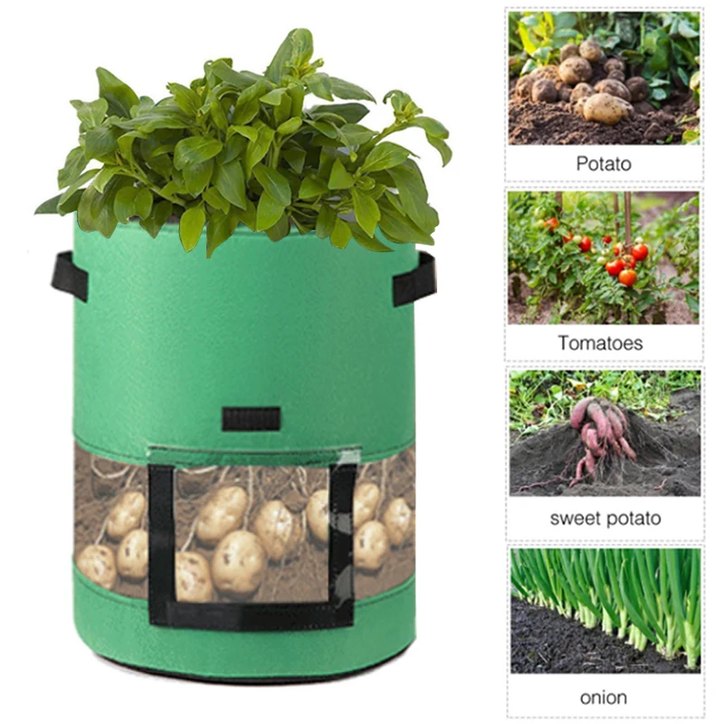 https://ae01.alicdn.com/kf/H73585929e87e4a3fbeac58f2cde9e2099/2-size-Plant-Grow-Bags-Potato-Bag-Home-Garden-Pot-Greenhouse-Vegetable-Growing-Bags-Moisturizing-Garden.jpg