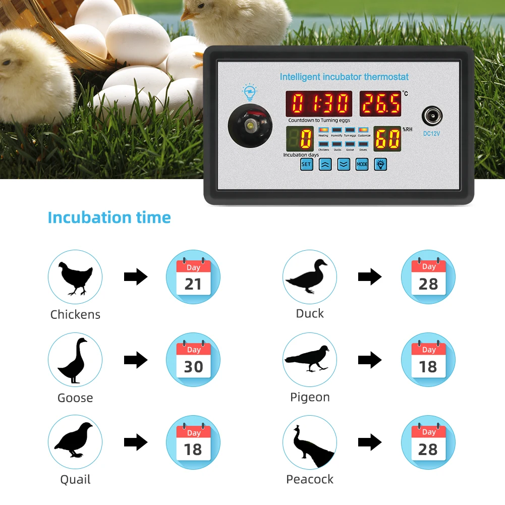 Intelligent Incubator Thermometer High accuracy and wide measuring range