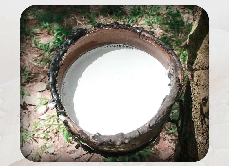 Description Picture 2 of itemDropshipping Customizable Size Mattress Soft Mattress Home Tatami Mat Was The Floor Mat Student ZHA13-2999