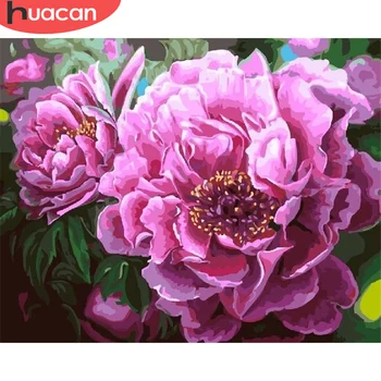 

HUACAN Coloring By Number Peony Drawing On Canvas HandPainted Painting Art Gift DIY Pictures By Number Flower Kits Home Decor