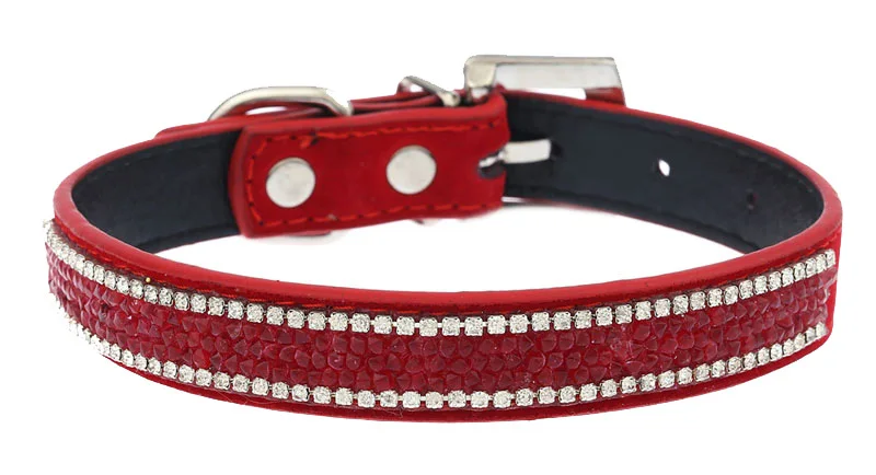 dog collar