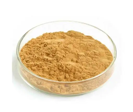 

Professional 100% Pure Guarana Seed Extract Powder, for Enhance The Compressive Capacity and Confidence