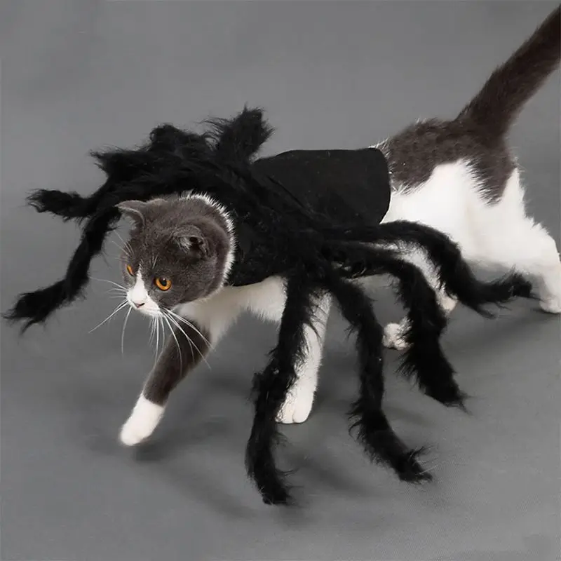 Pet Halloween Costume Party Spider Cosplay Apparel Festival Outfits