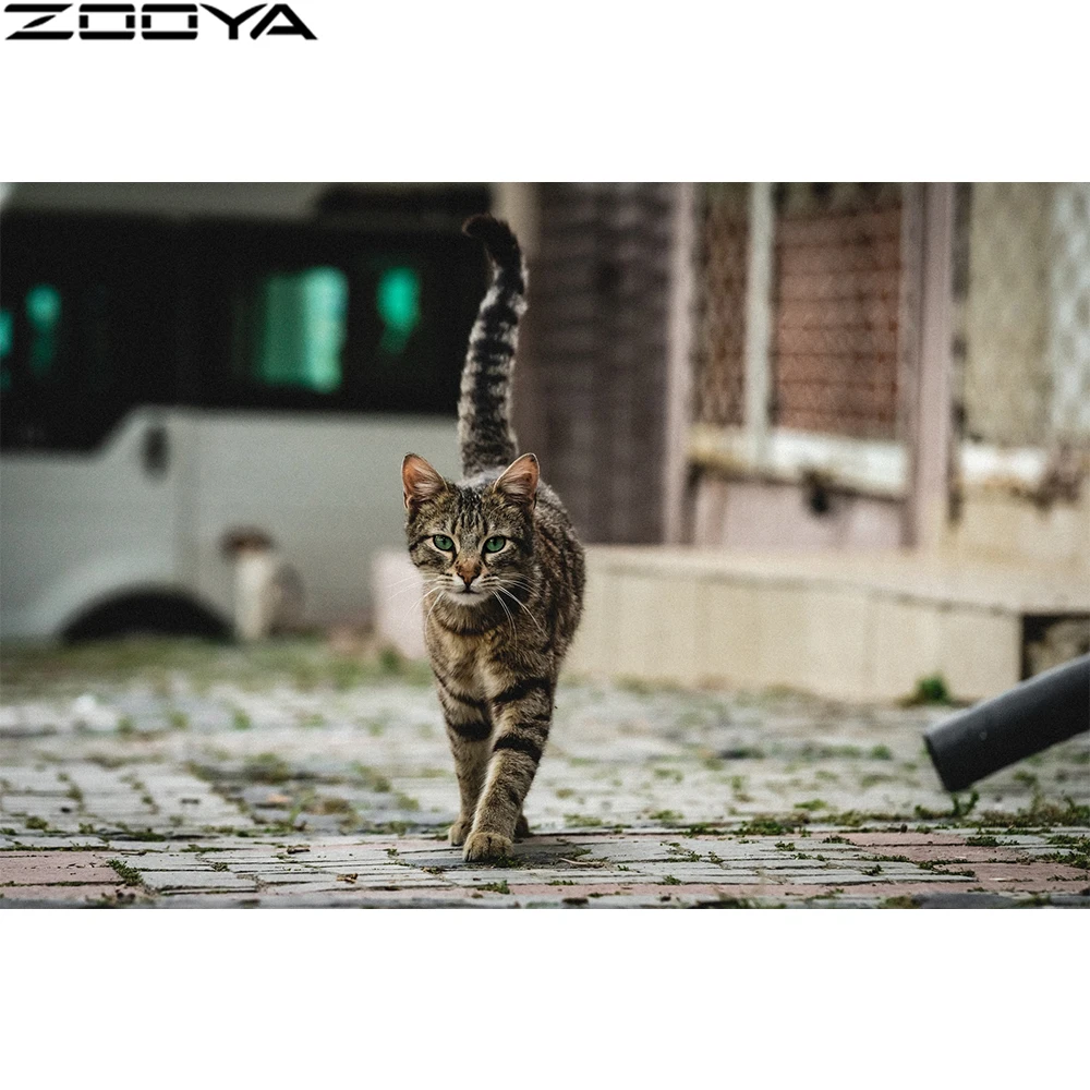 

Zooya Sale Diamond Embroidery Cat 5D Animals Picture Diamond Mosaic Round/Square Rhinestones Lost Kitties Beading Hobby K901