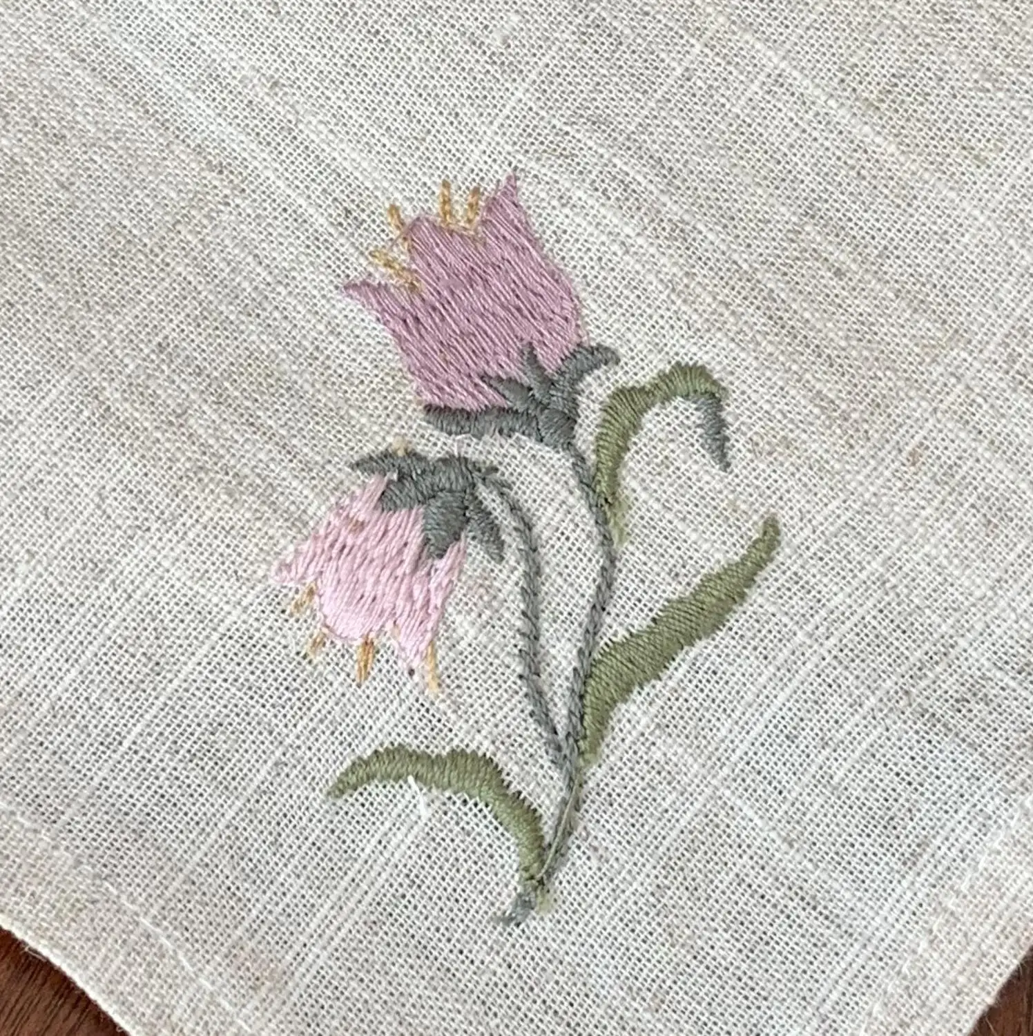 Tulip