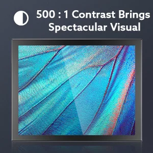 EYOYO 8 ̴ IPS  1024X768 ػ TFT LCD ũ ÷ HD/VGA/BNC/AV  Է PC DVD DVR CCD ī޶