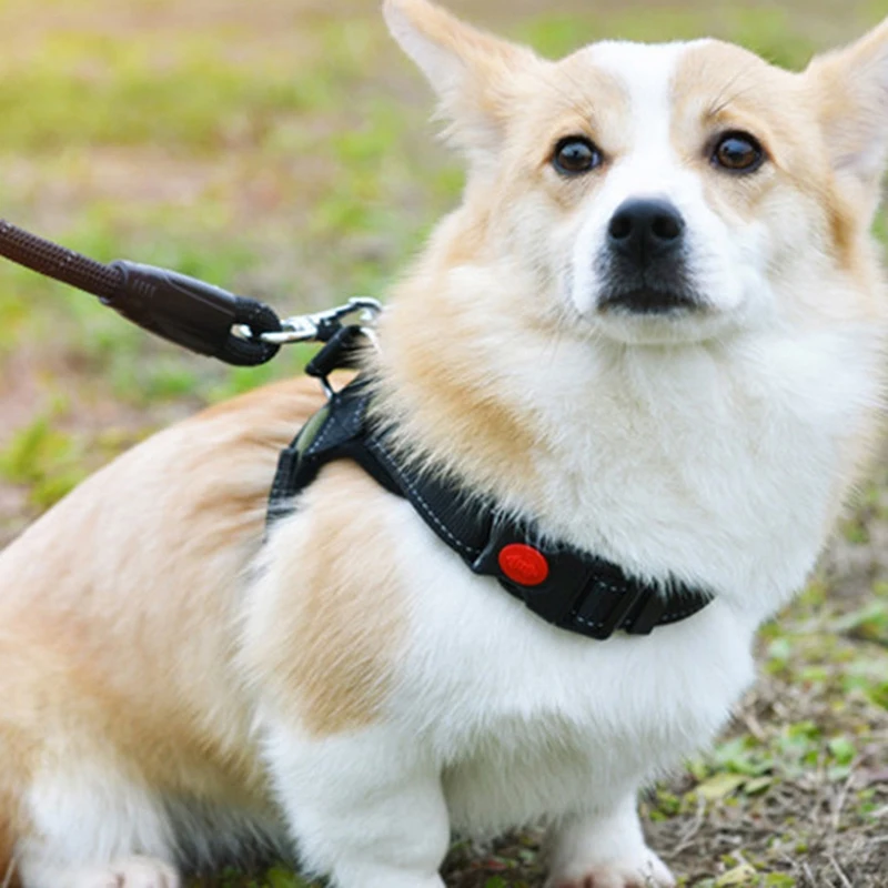 

304 Stainless Steel Swivel Eye Snap Hook M5 Scuba Diving Clips Marine Boat Hardware Spring Buckle for Bird Feeders Pet Chains Do