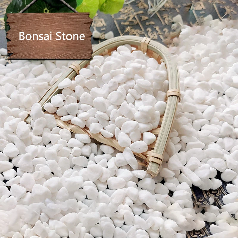 Guijarros de jardín bonsái, piedra para patio, maceta pequeña, planta, piedra para tanque de peces, maceta de flores suculentas, decoración para acuario