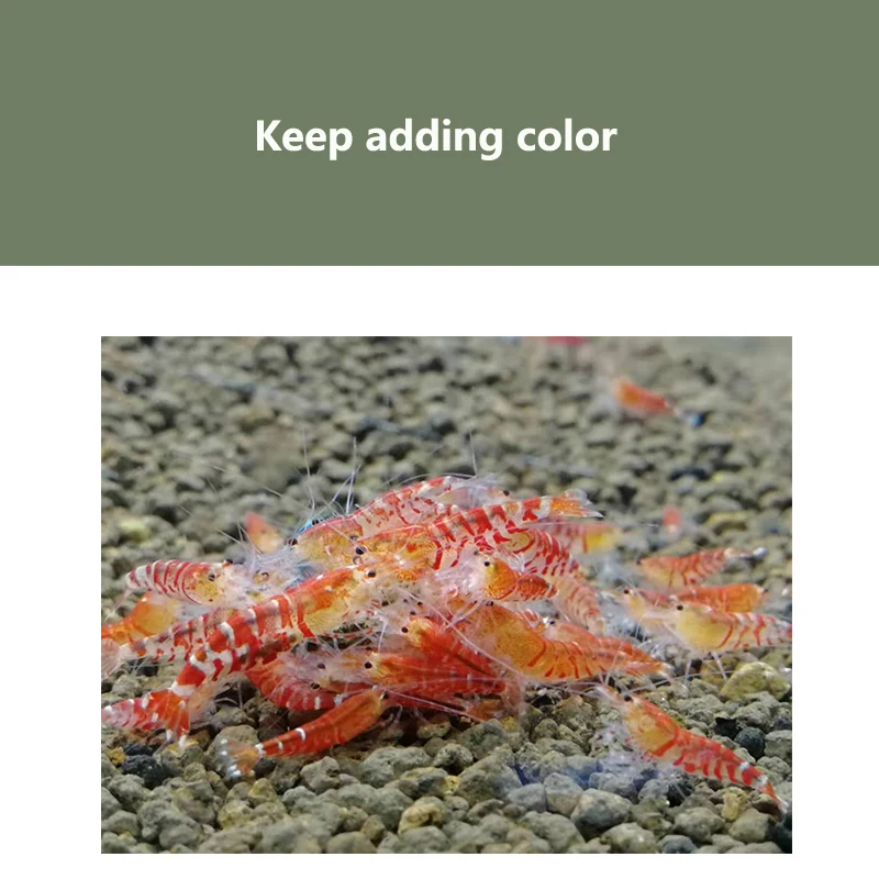 Hc00d34ab537040c68e0a9e540ab9cf14Y