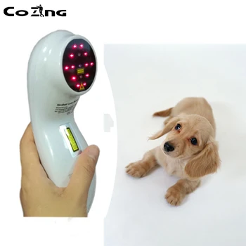 

Medical products 808 nanometer infrared light for joint rehabilitation physiotherapy equipment after animal injury