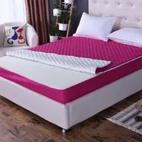 Solid Color Zipper Detachable Quilted Mattress Cover 6-side All-inclusive Soft Bed Pad Protection Cover Anti-mite Bed Cover