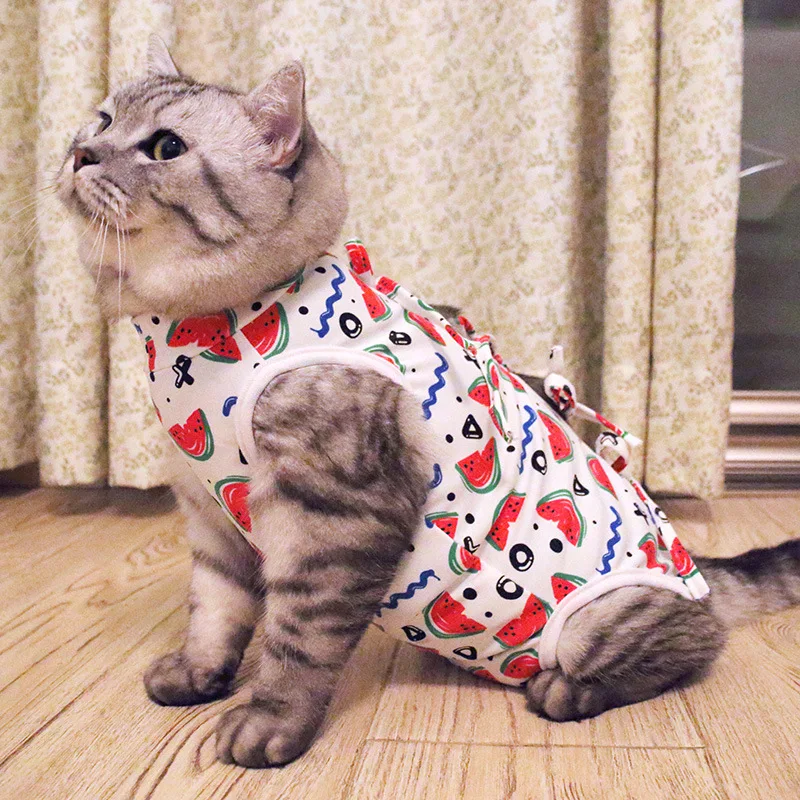 Одежда для домашних животных, котов для кошек с фруктовым рисунком, мягкий жилет, футболка, одежда для собак, кошек, костюм для маленьких собак, жилет с рисунком для котенка, щенка