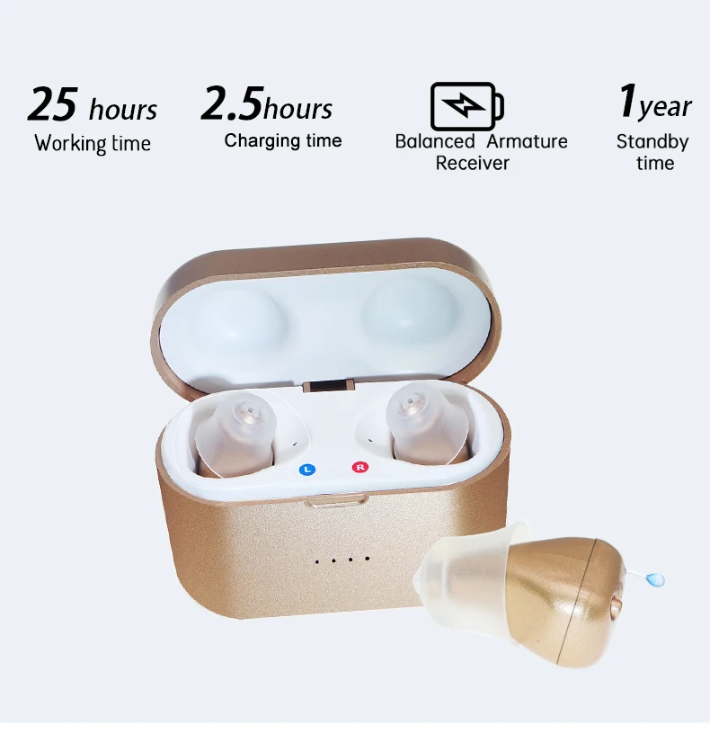 SR 61 Hearing Aids