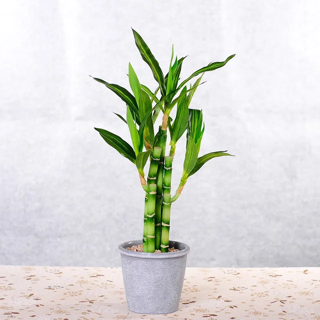 45cm 6fork Artificial Bamboo Tropical large Plant Bonsai Fake Maranta Tree Real Touch Plastic Palm Leaves Potted Home Decoration 45cm 6fork Artificial Bamboo Tropical large Plant Bonsai Fake Maranta Tree Real Touch Plastic Palm Leaves Potted Home Decoration