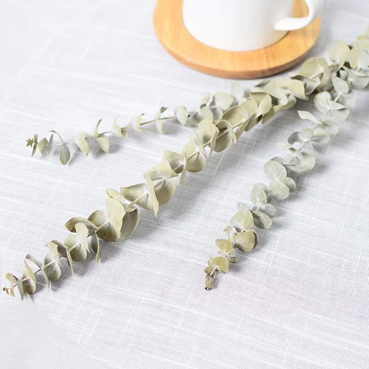 12378872880_465457241