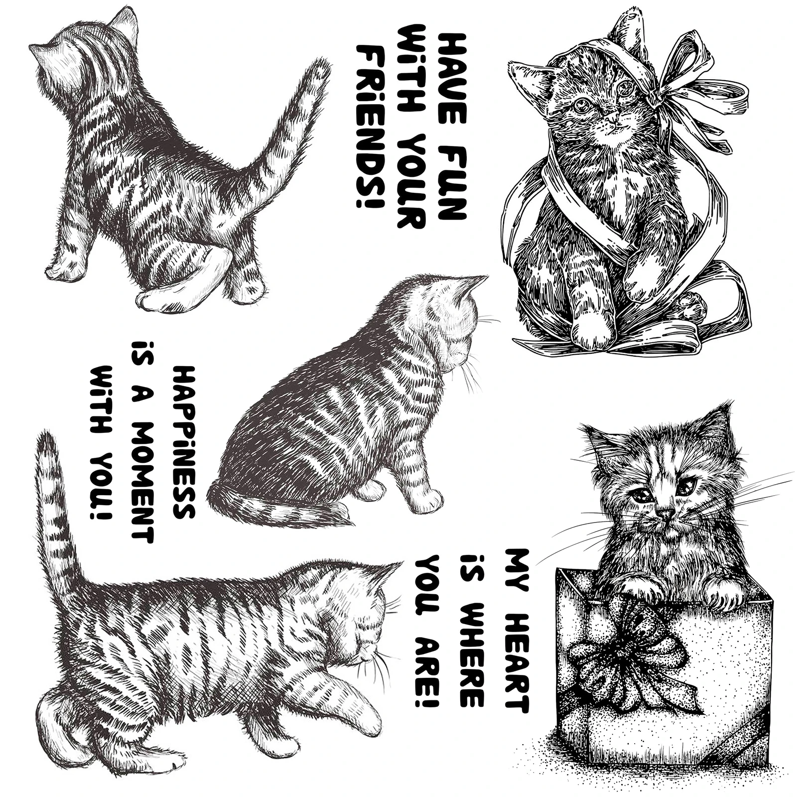 Civet Cats Stampgift Box Cat Cutting Dies And Stamps For Diy