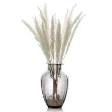 Новинка,, 15 шт., сушеные небольшие пампасы, трава, Phragmites, украшения для дома, отеля, свадьбы, VJ-Drop