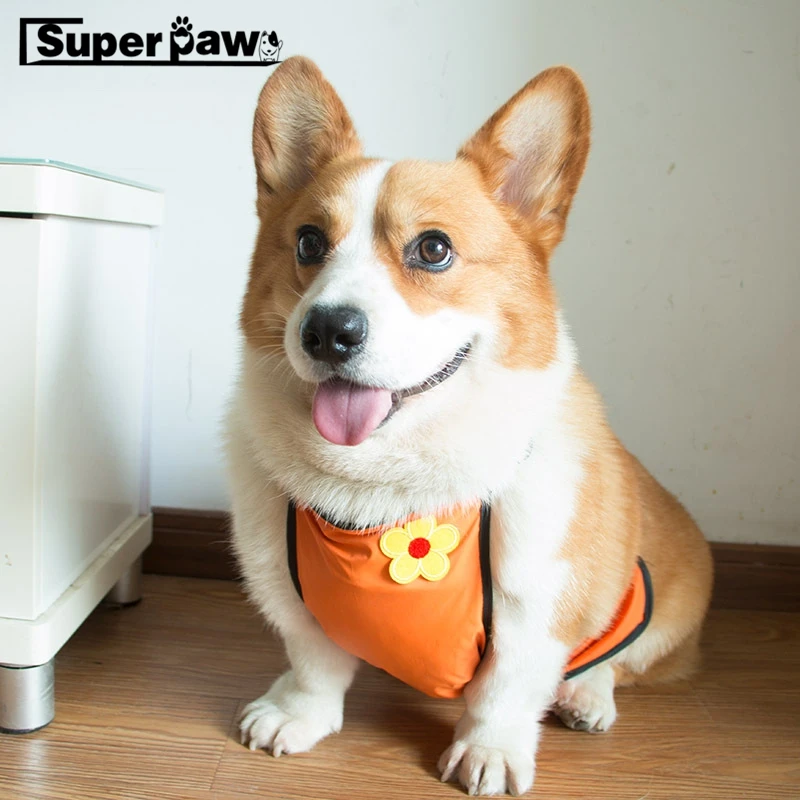 

Cute Dog Apron Protect French Bulldog Tummy Waterproof Pet Clothes for Small Medium Short Leg Dogs Pets Clothing Corgi Pug TSC01