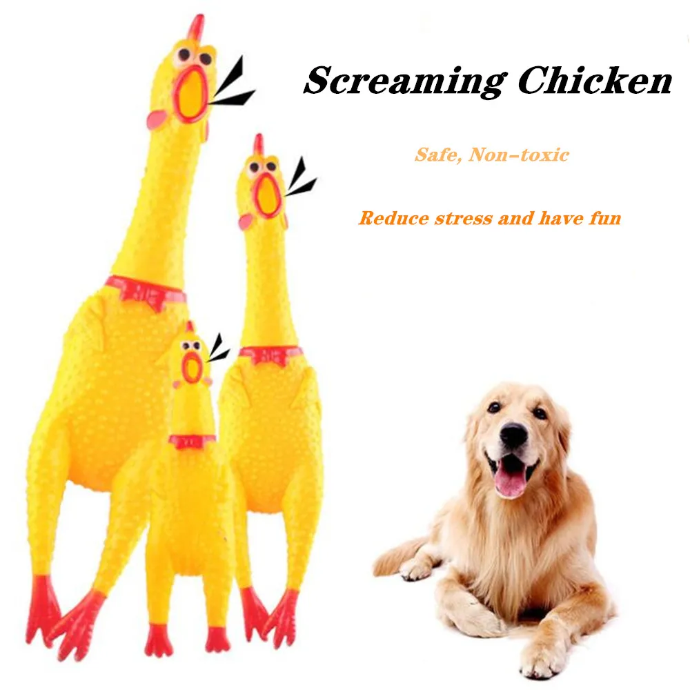 QQ图片20191121163057_副本