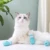 Практичный 4 шт./Лот Регулируемый Pet Cat Feet Protector для Ванны Мягкая Силиконовая Обувь против царапин Cat Grooming Supplies for Cat