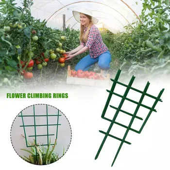 

2pcs Plastic Mini Superimposed Garden Plant Support Diy Climbing Rings Flower Support Garden Trellises For Plant Vines @40