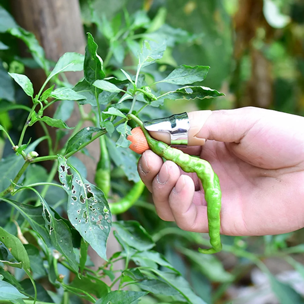 Picking Vegetable Portable Separator Harvesting Plant Protective Stainless Steel Thumb Cutter Index Finger Cover Tools Garden |
