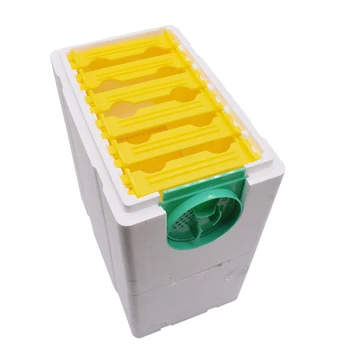 

New Honey Beehive Frames Beekeeping Box Bee Hive King Pollination Box Bee Mating Copulation Box Beekeeping Equipment