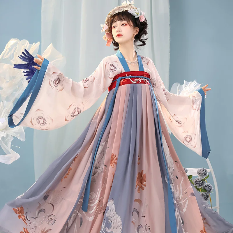 Chinese Traditional Dress Women S Embroidered Blouse With One Piece Chest Lower Skirt Tang Dynasty Hanfu Dress Cosplay Costume Aliexpress