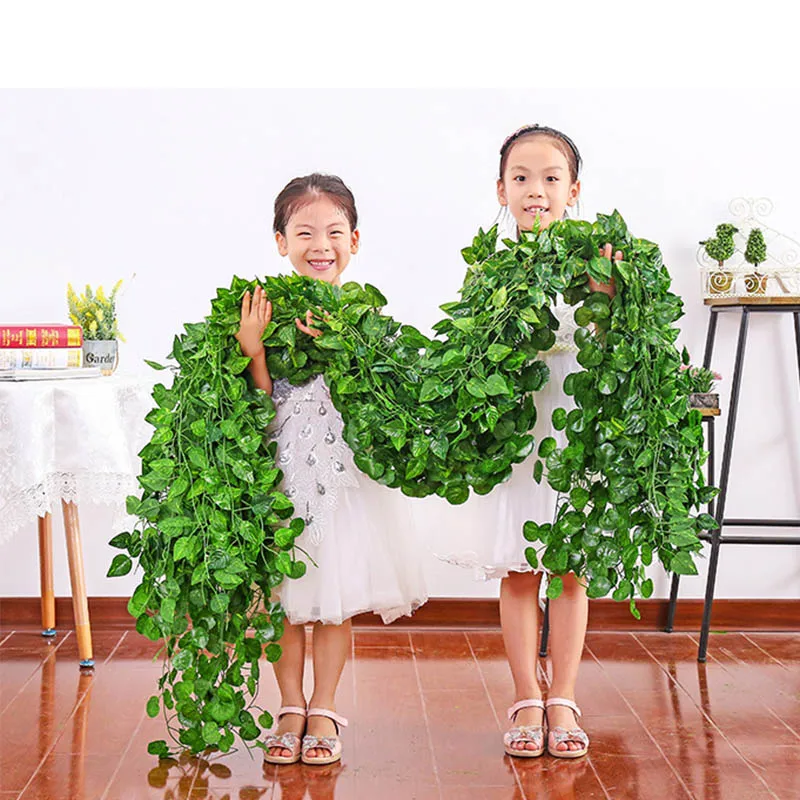 11116992817_1451029161