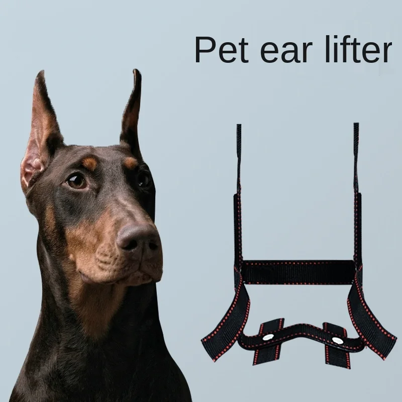 Dog Ear Stand Ear Correction Fixation Tool Doberman German Shepherd  Vertical Ear Dedicated Dog Accessories Dog Ear Lifter - AliExpress