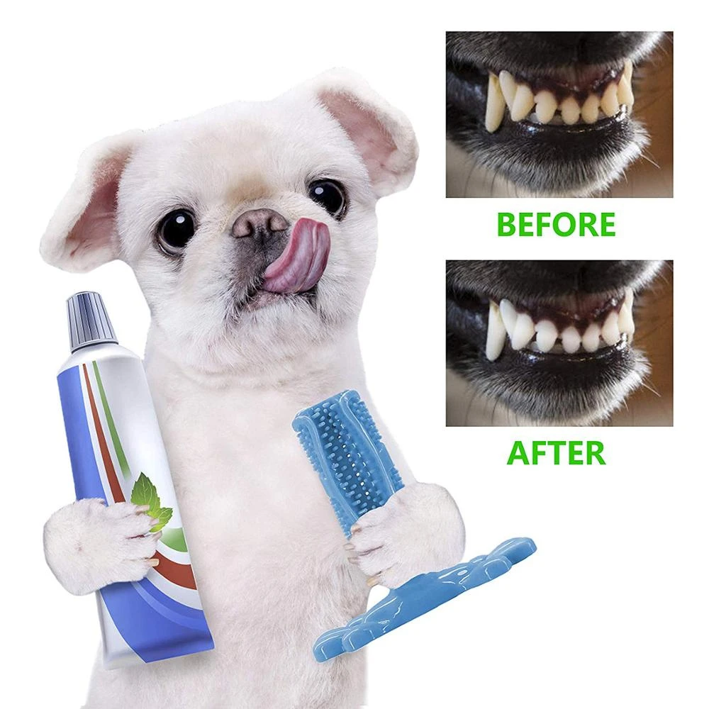 dog toothbrush chew toy