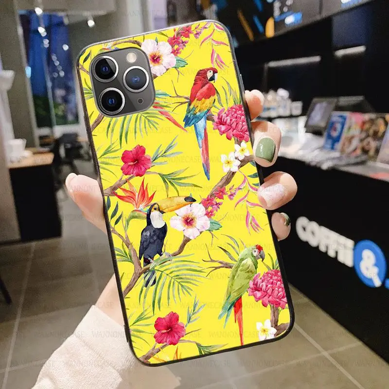 Tropical forest animals Toucan