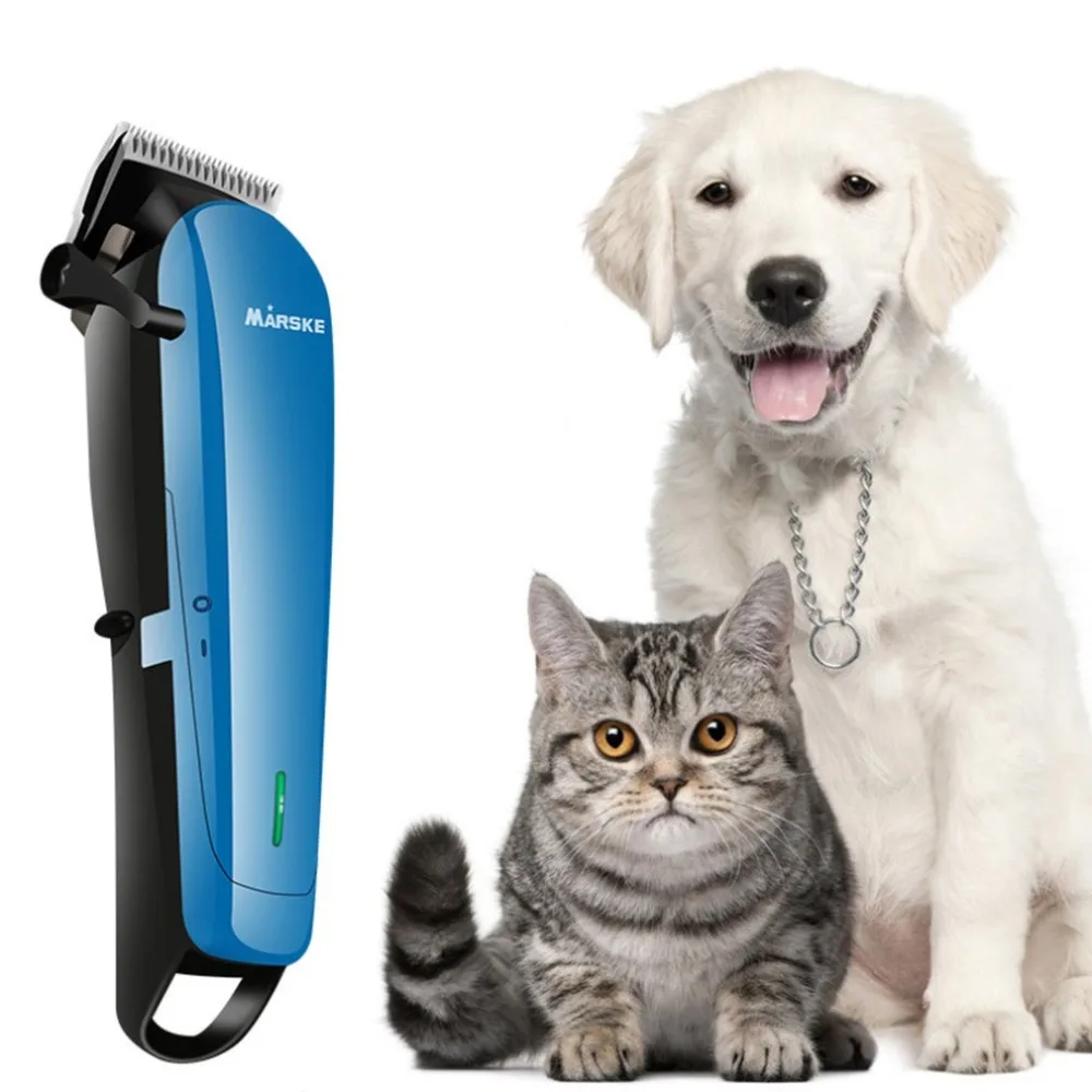 CP166600-C-20042303-1