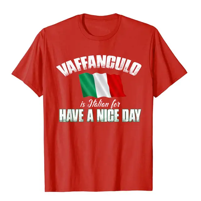 Vaffanculo Have A Nice Day Shirt Funny 