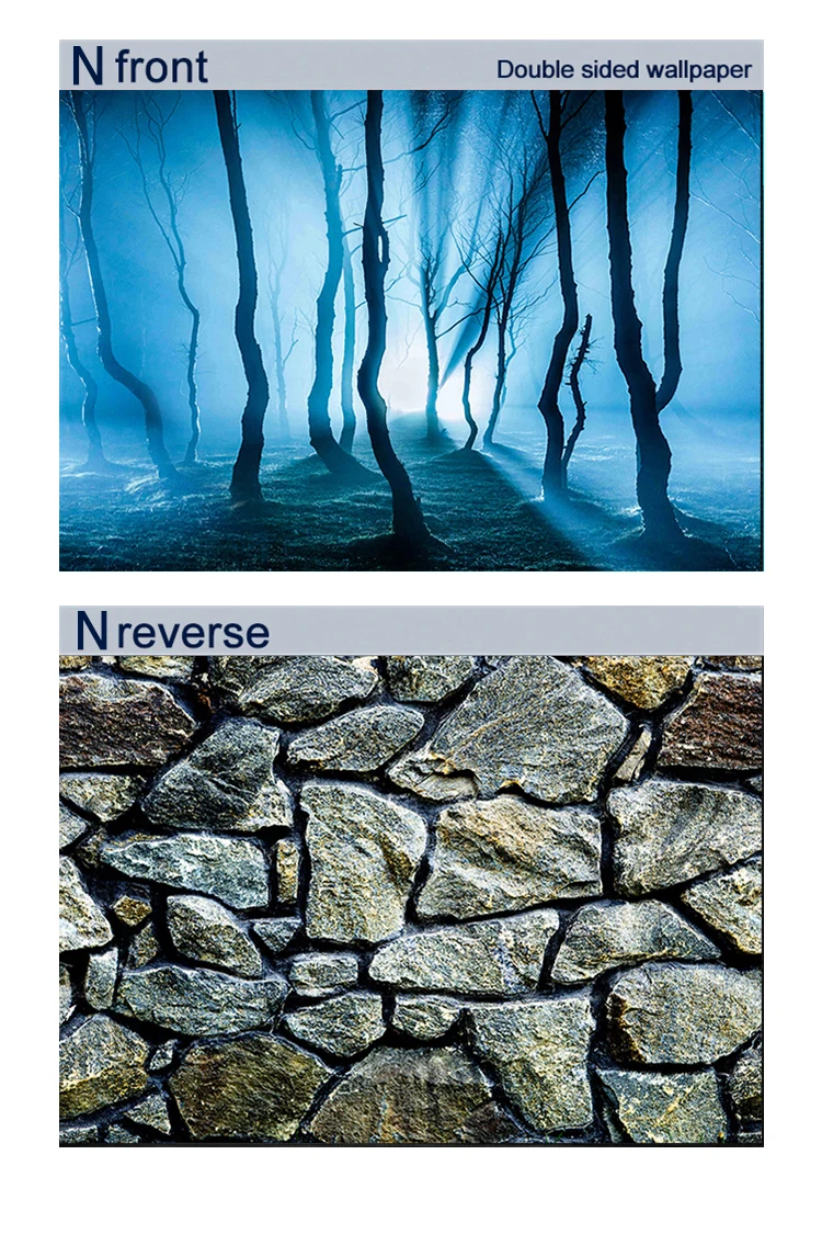 Pcingsia Toile De Fond Statique Pour Aquarium, Poster D'aquarium Noir – Fond D'aquarium