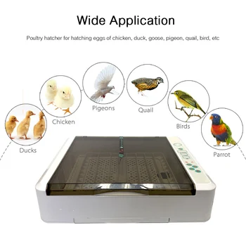 

36Egg Hatchers Chicken Automatic Eggs Incubator Bird Quail Brooder Digital Egg Incubator Farm Hatchery Incubator Brooder Machine