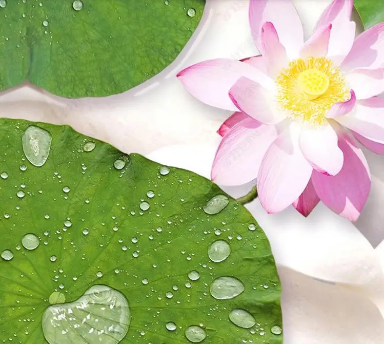 360截图20200429163136316