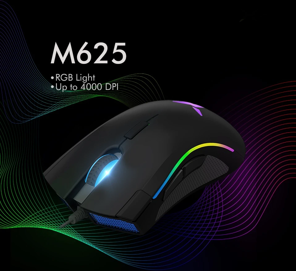 Computer Mouse