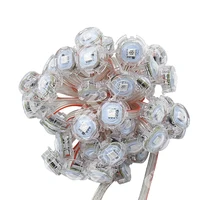 DC12V WS2811 20mm Diameter Led Digital Pixel Screen Grid Modules SMD 5050 RGB Waterproof Addressable Led Point Light String 1